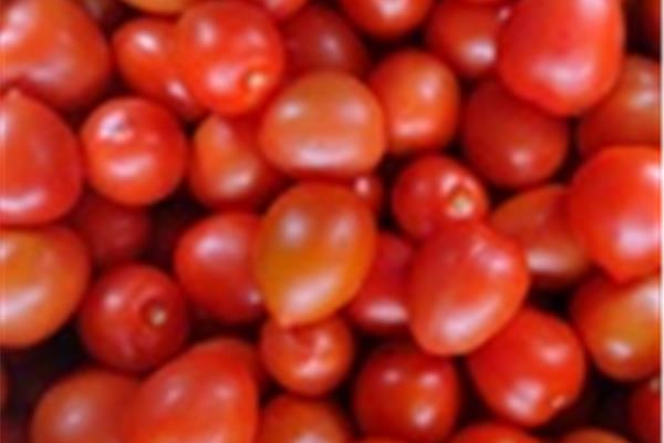Tomaat Pera Vers aanbod in de winkel op 28 augustus en 29 augustus Webshop